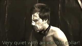 316 vibrator porn videos